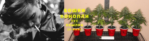 дурь Сосновоборск