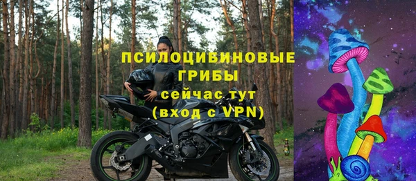 твердый Михайловка