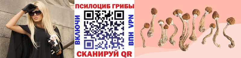 Галлюциногенные грибы MAGIC MUSHROOMS  где продают   Муром 