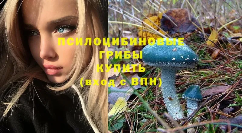 hydra как войти  Муром  Псилоцибиновые грибы Cubensis 